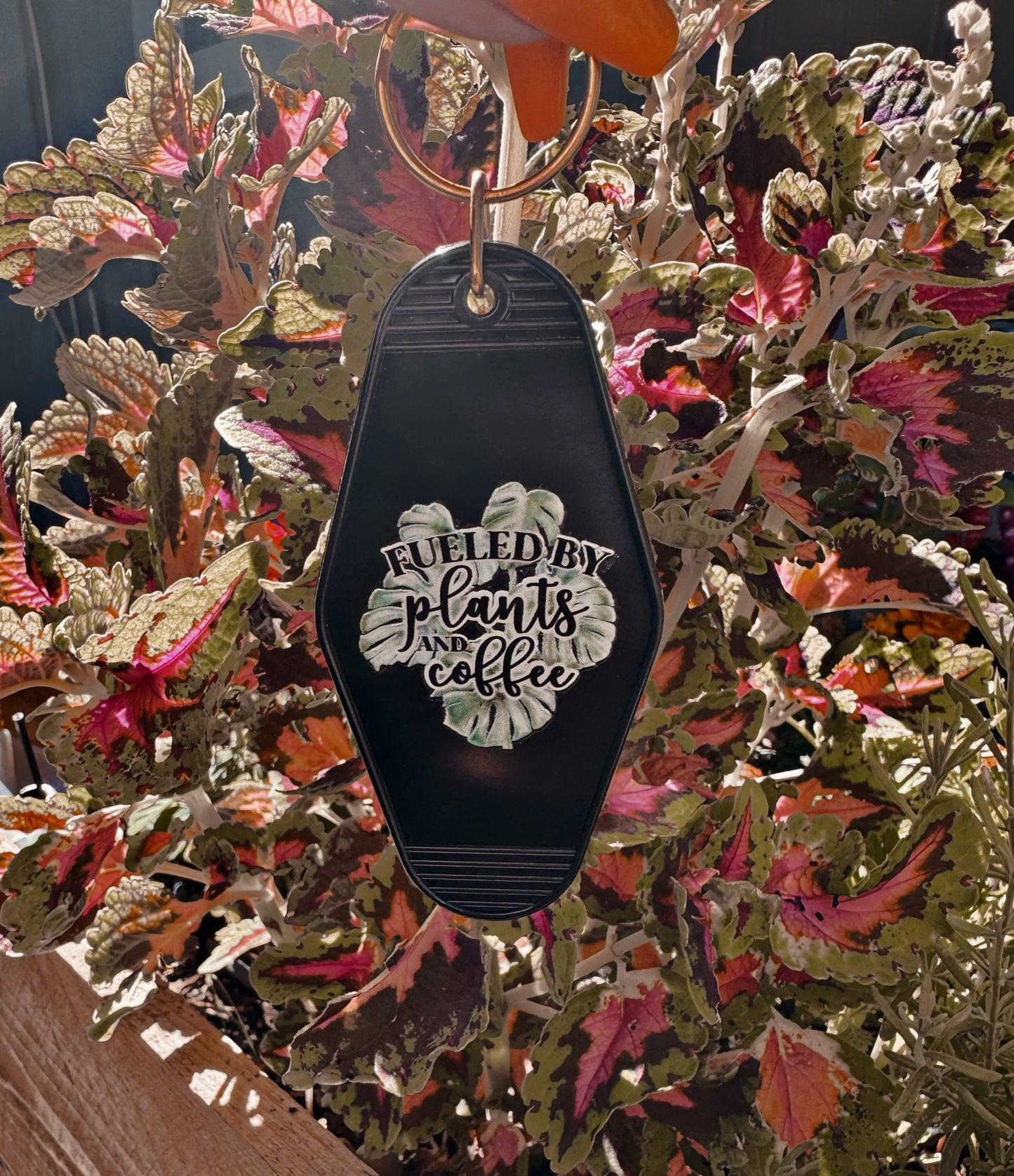 Plants & Coffee
