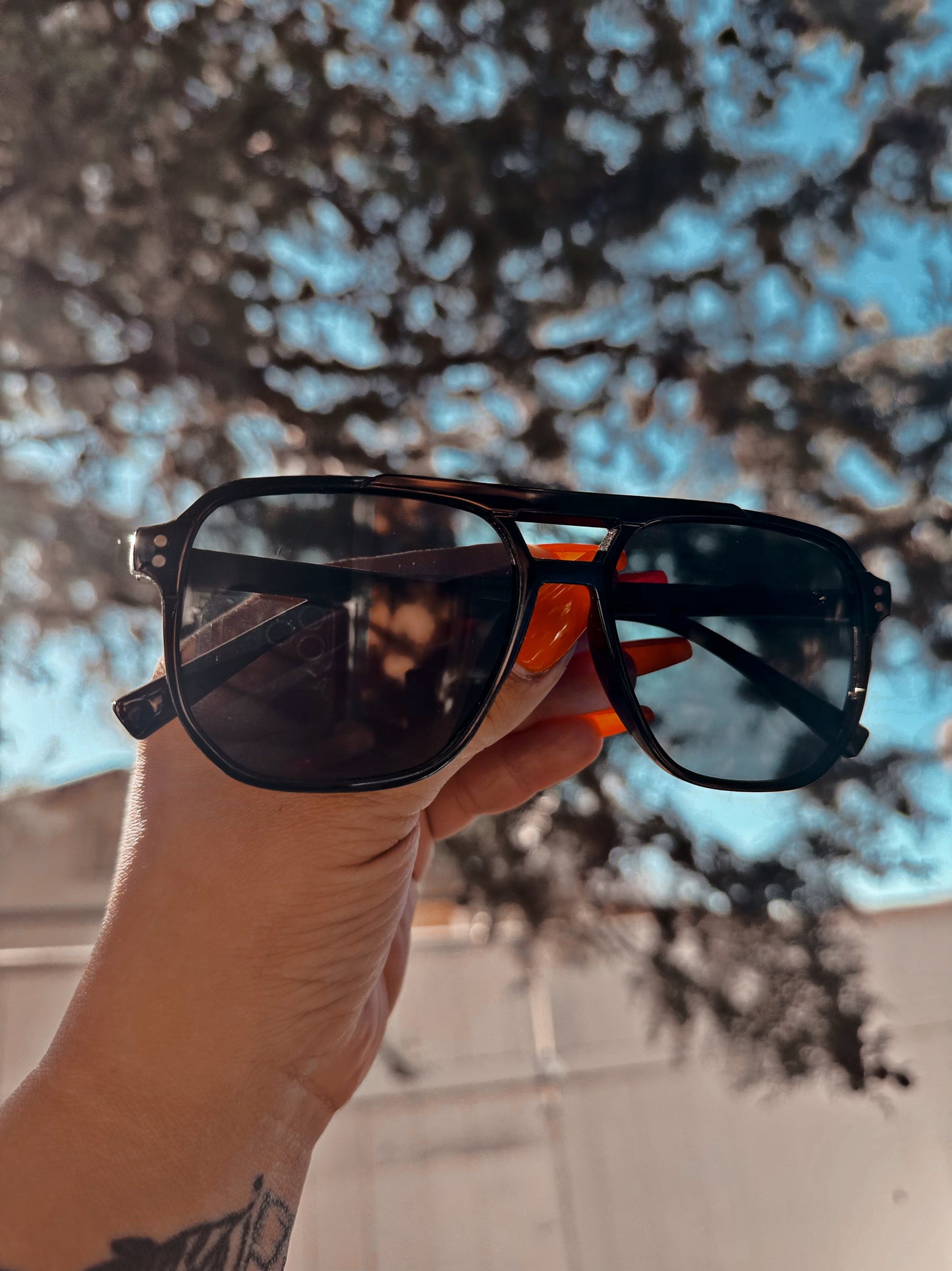 Ready For Takeoff Sunnies